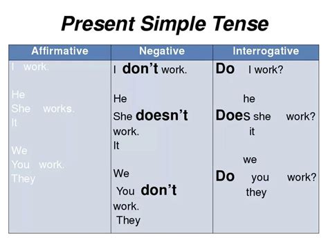 Употребление do и does в present simple