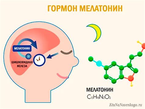 Уровень мелатонина: воздействие гормона сна на процесс засыпания