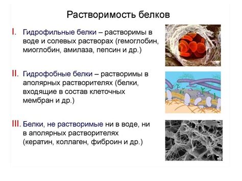 Уровни организации мономера белка