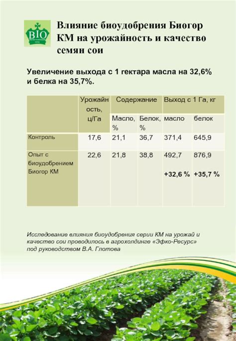 Урожайность овощей: увеличение выхода