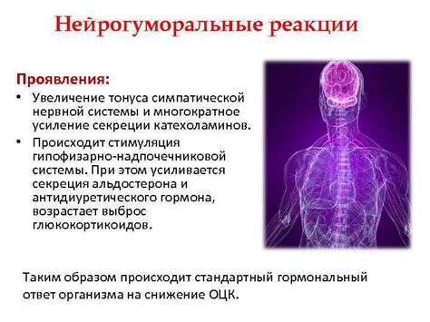 Усиление раздражительности нервной системы