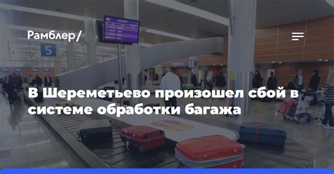 Услуги по обертыванию багажа в Шереметьево