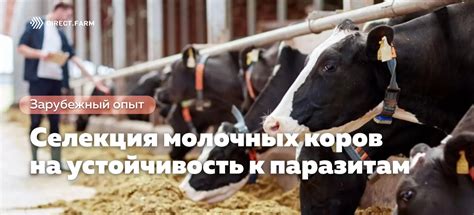 Устойчивость к паразитам