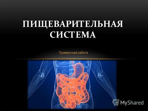 Ухудшение работы пищеварительной системы