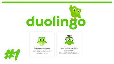 Учи испанский с Duolingo