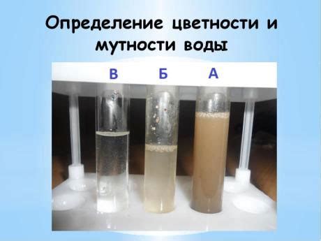 Факторы, влияющие на мутность воды: