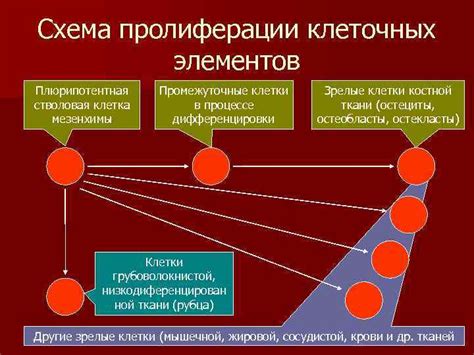 Факторы, влияющие на процесс кодирования