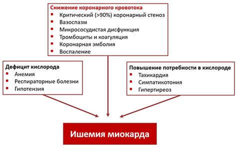 Факторы, влияющие на толщину миокарда