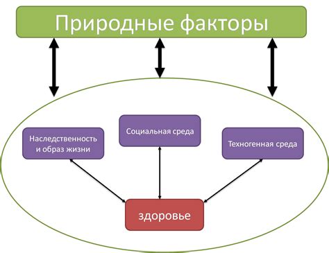 Факторы, влияющие на честность человека