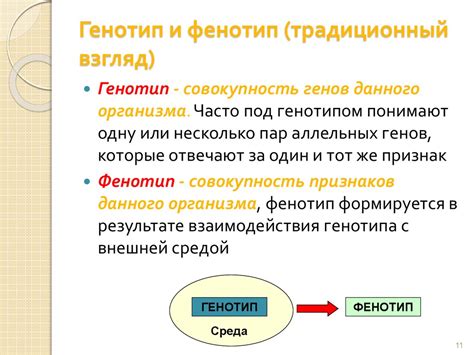 Фенотип и генетика тигров