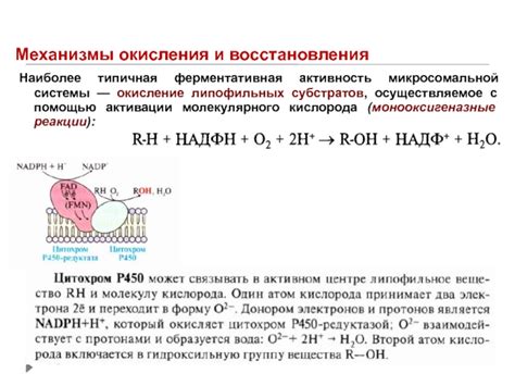 Ферментативная активность и подавление окисления