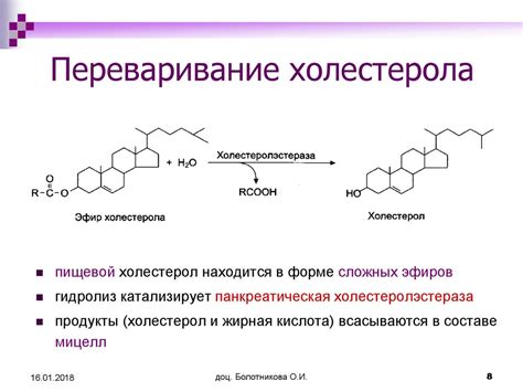 Ферментация и образование эфиров