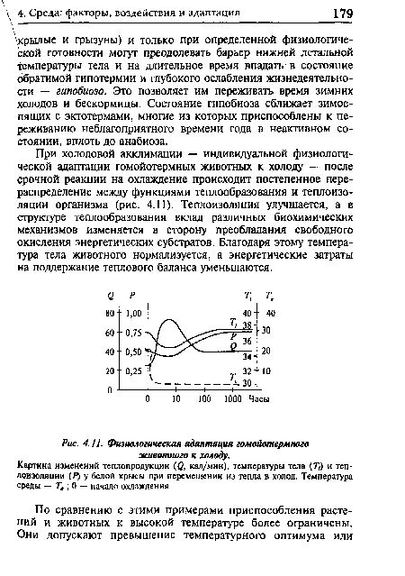 Физиологическая адаптация к холоду