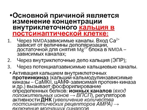 Физиологическая роль предварительного расщепления сигнала в постсинаптической клетке