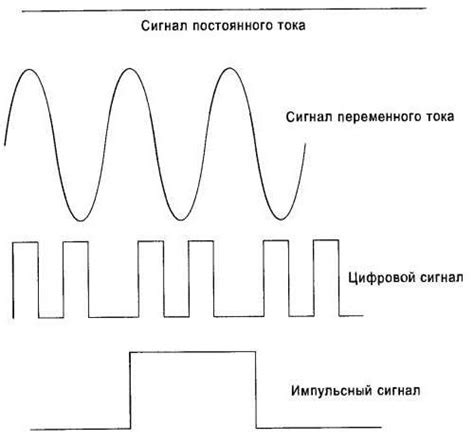 Физиологические аспекты передачи сигналов канарейкой