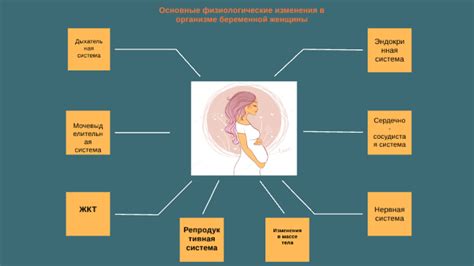 Физиологические аспекты планирования беременности в определенном возрасте