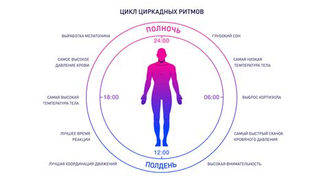 Физиологические изменения и ритмы