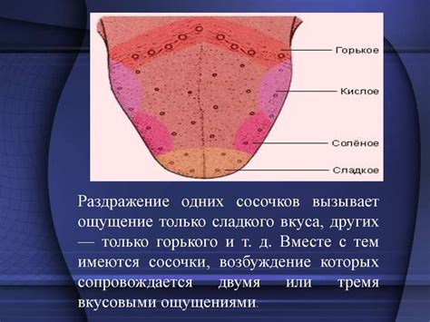 Физиологические особенности восприятия вкуса