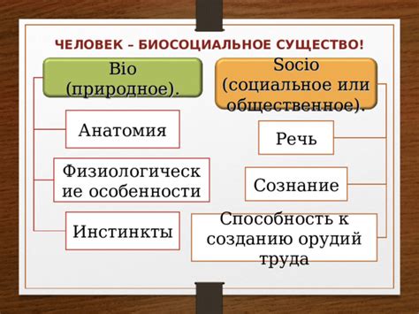 Физиологические особенности и инстинкты