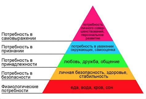 Физиологические потребности и их роль в формировании психологии