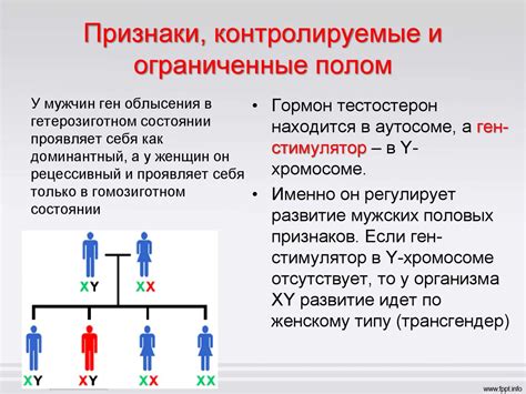 Физиологические причины исключения, связанные с полом