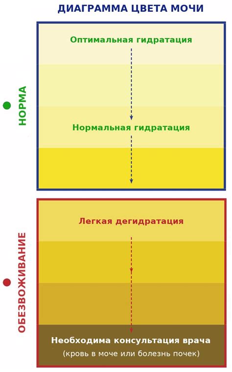 Физиологические причины малого количества мочи у ребенка