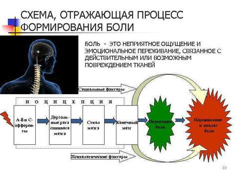 Физиология боли