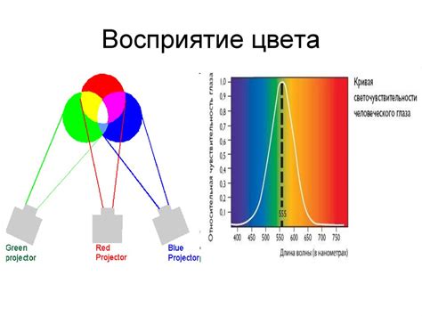 Физиология зрения и восприятие цвета