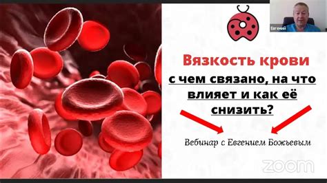 Физическая активность: как она влияет на вязкость крови?