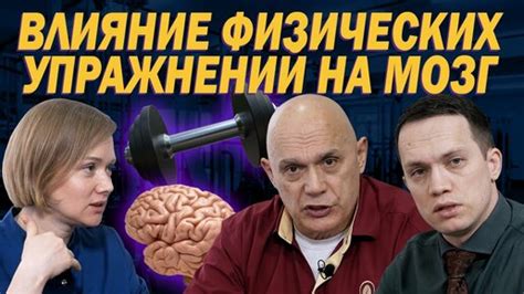 Физическая активность и кровообращение: как они связаны