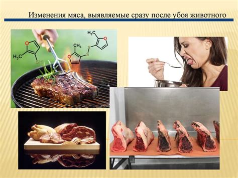 Физические изменения в мясе