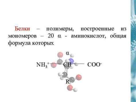 Физические свойства мономера белка