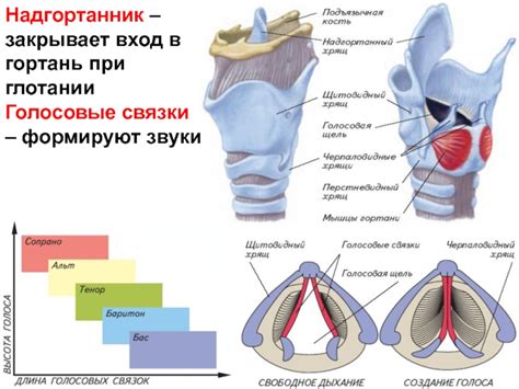 Физическое воздействие на голосовые связки