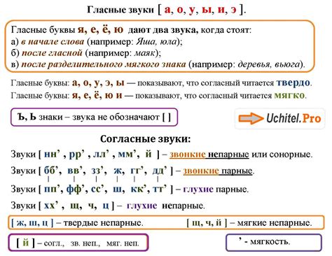 Фонетический разбор