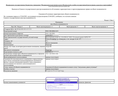 Форматы и виды выписок из ЕГРН без печати