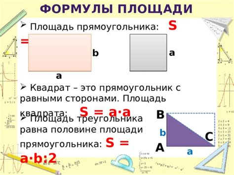 Форма и площадь поверхности