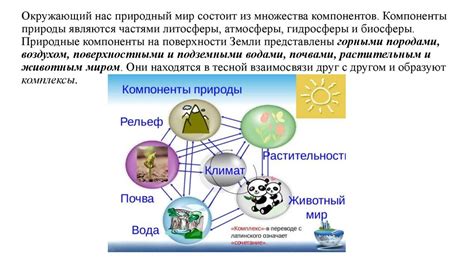 Формирование ионообменных комплексов