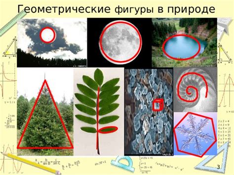 Формы плавучести в природе