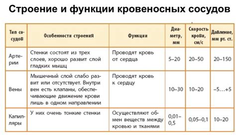 Функции разных видов криков