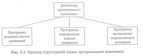 Функциональная и структурная специализация