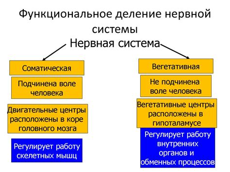 Функциональное значение ситуации