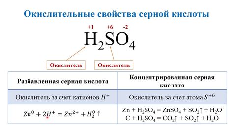 Химические свойства разбавленной серной кислоты