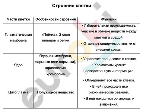 Химический состав клетки как индикатор ее роли