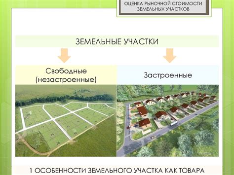 Цены на аренду земельных участков: факторы определения стоимости