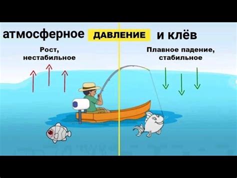 Чем отличается поведение рыбы в условиях повышенного атмосферного давления