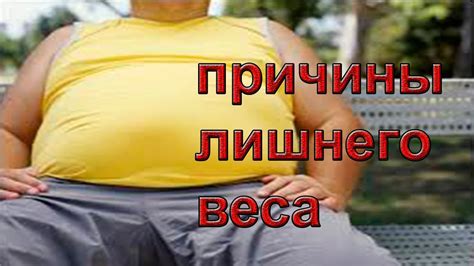 Что скрывается внутри овечьего веса?