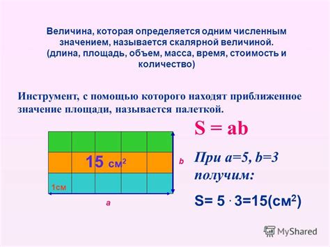 Что такое площадь?