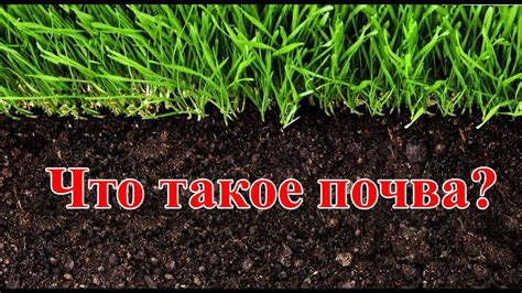 Что такое разрыхленная почва?