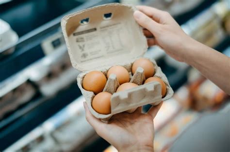 Что такое скоропортящиеся продукты и почему они нуждаются в особом хранении