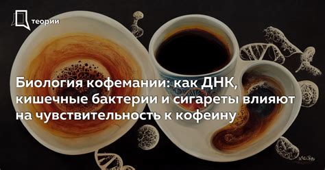 Чувствительность к кофеину